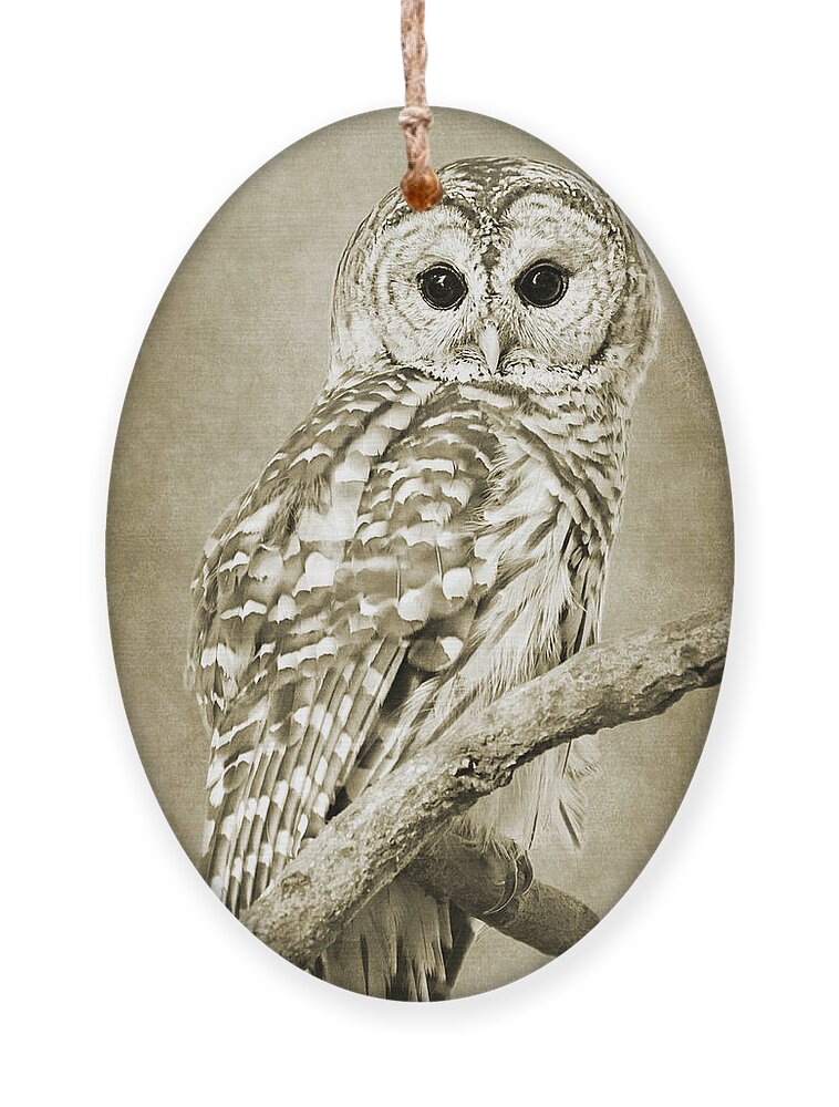 Owl Ornament featuring the photograph Sepia Owl by Christina Rollo