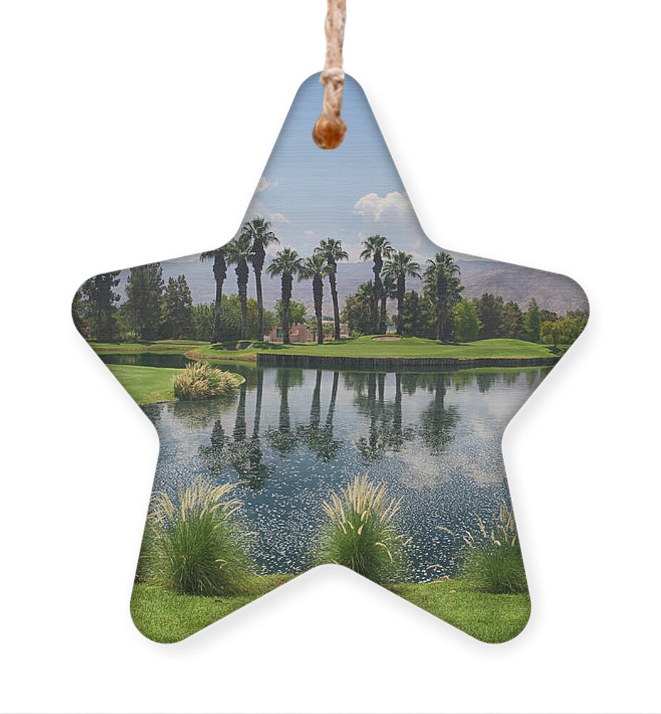 Palm Desert Ornament featuring the photograph Settling In by Laurie Search