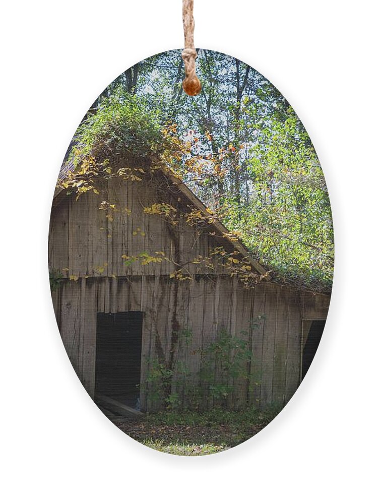 Landscape Ornament featuring the photograph Shack In The Woods by John Benedict