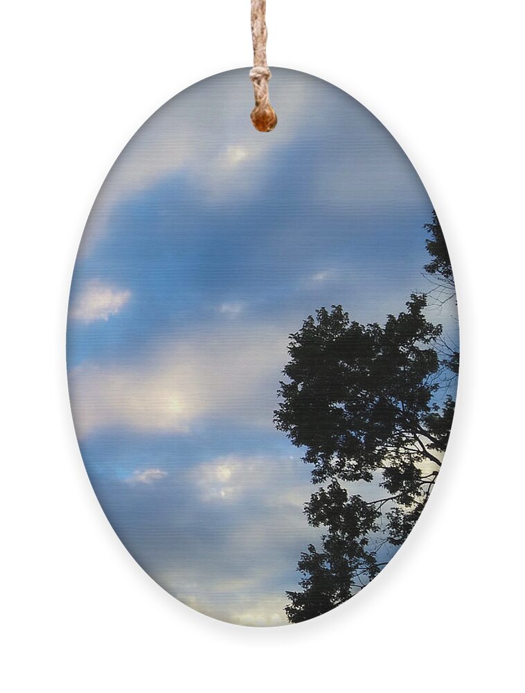 Sky Ornament featuring the photograph Shadow on Softness by Robert Knight