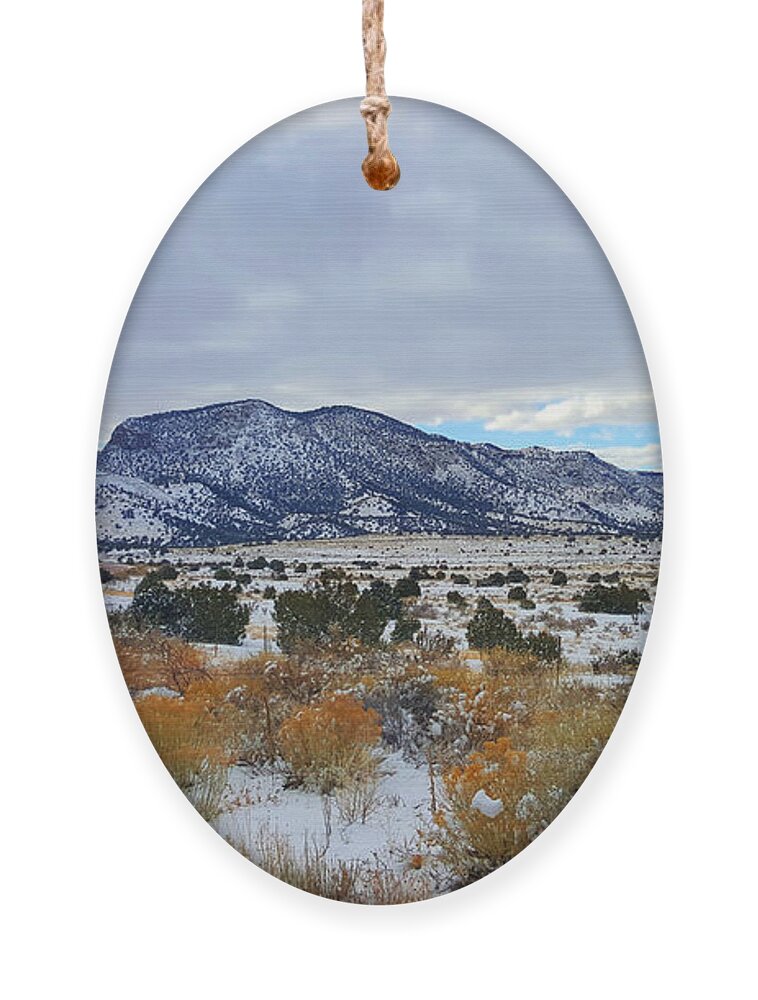 Southwest Landscape Ornament featuring the photograph Side of the road by Robert WK Clark