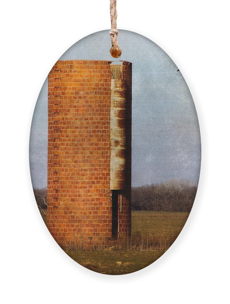 Abandoned Ornament featuring the photograph Silo by Lana Trussell