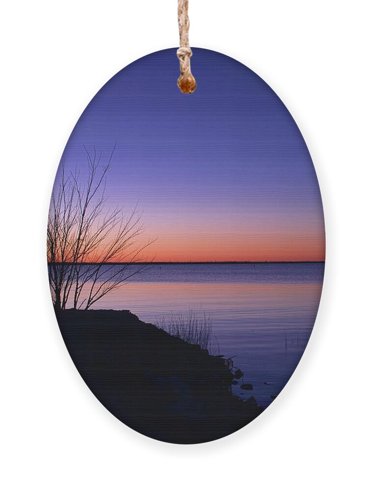 Sunrise Ornament featuring the photograph Simply Gentle Blue by Diana Mary Sharpton