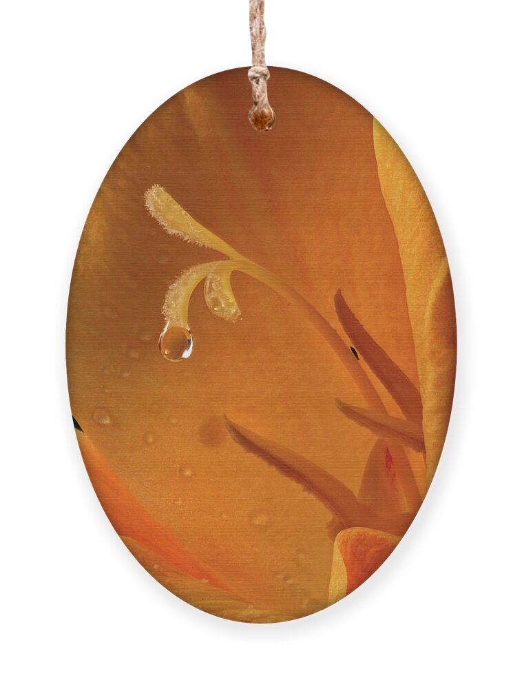 Jean Noren Ornament featuring the photograph Single Drop by Jean Noren