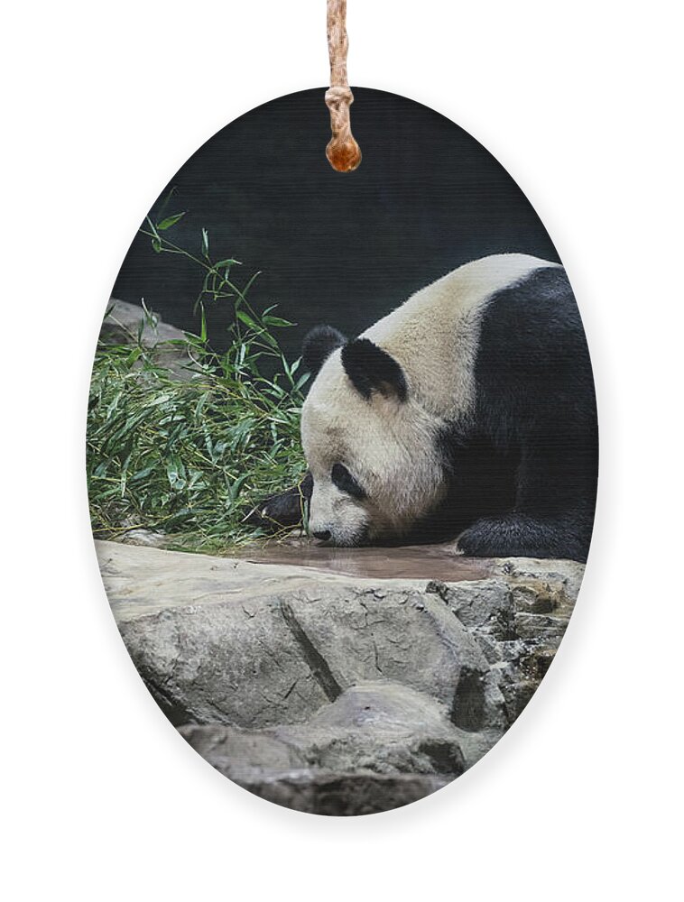 Panda ornament - .de