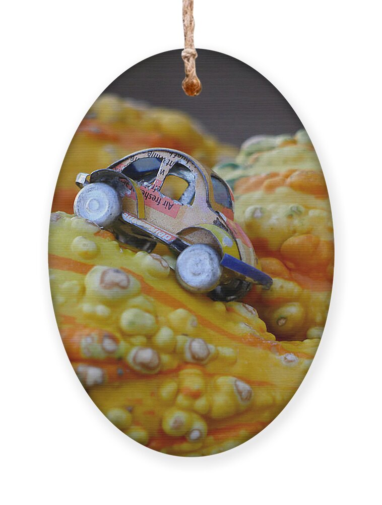 Richard Reeve Ornament featuring the photograph Small Journey by Richard Reeve