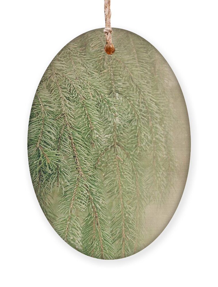 Pine Needles Ornament featuring the photograph Smell The Pine by Angie Tirado