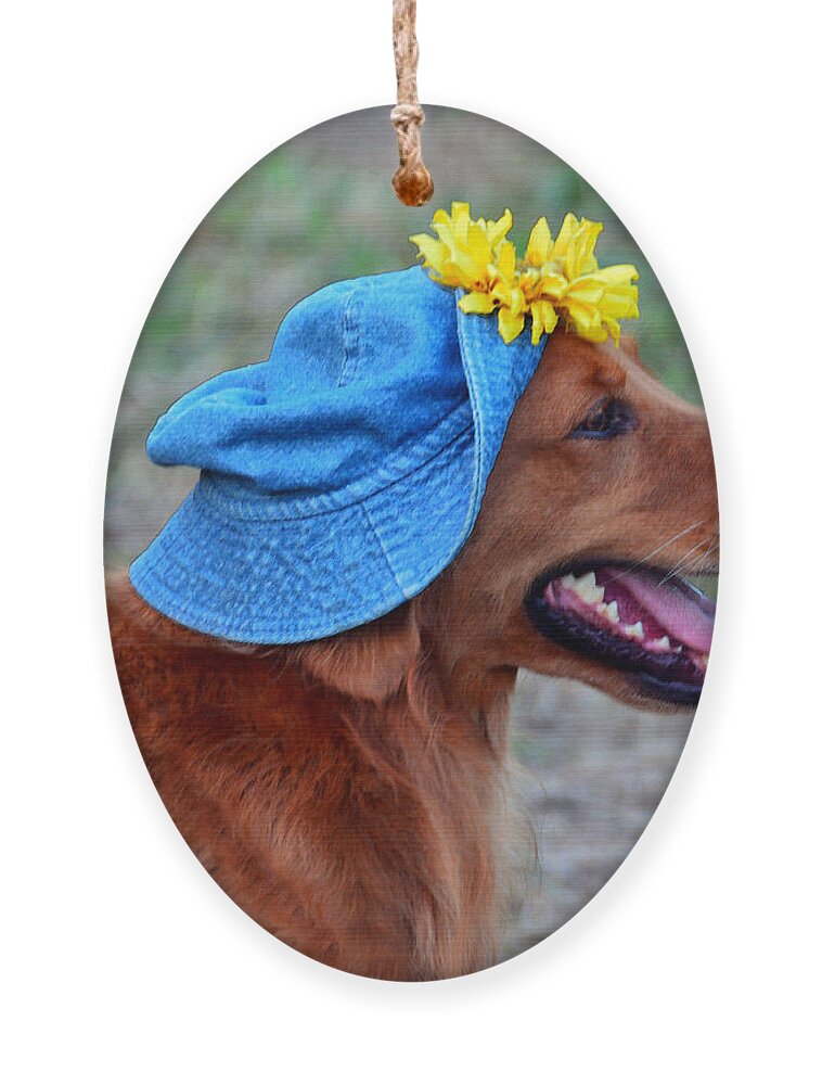 Golden Retriever Ornament featuring the photograph Smiling Golden Retriever in Hat by Catherine Sherman