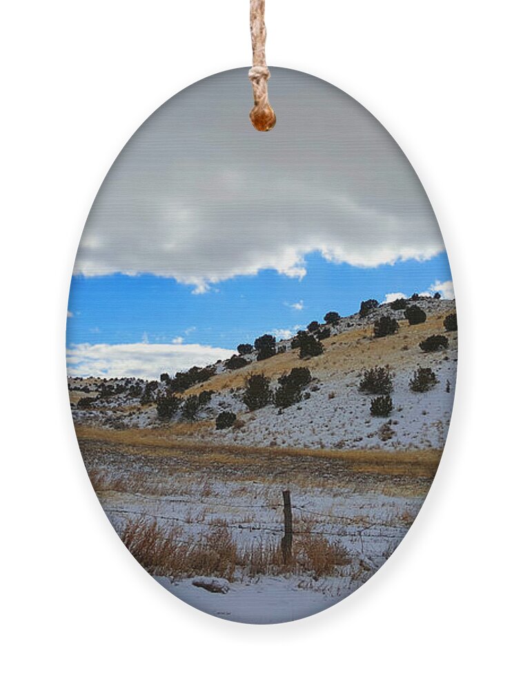 Southwest Landscape Ornament featuring the photograph Snow in the Desert by Robert WK Clark