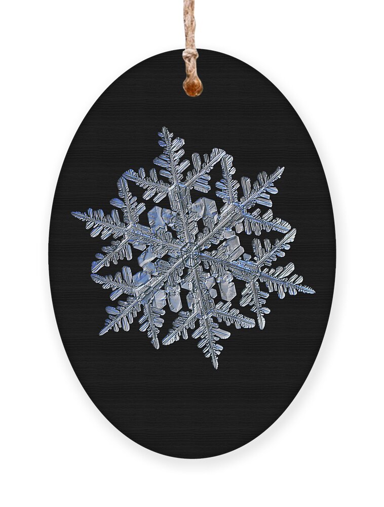 Snowflake Ornament featuring the photograph Snowflake macro photo - 13 February 2017 - 3 black by Alexey Kljatov