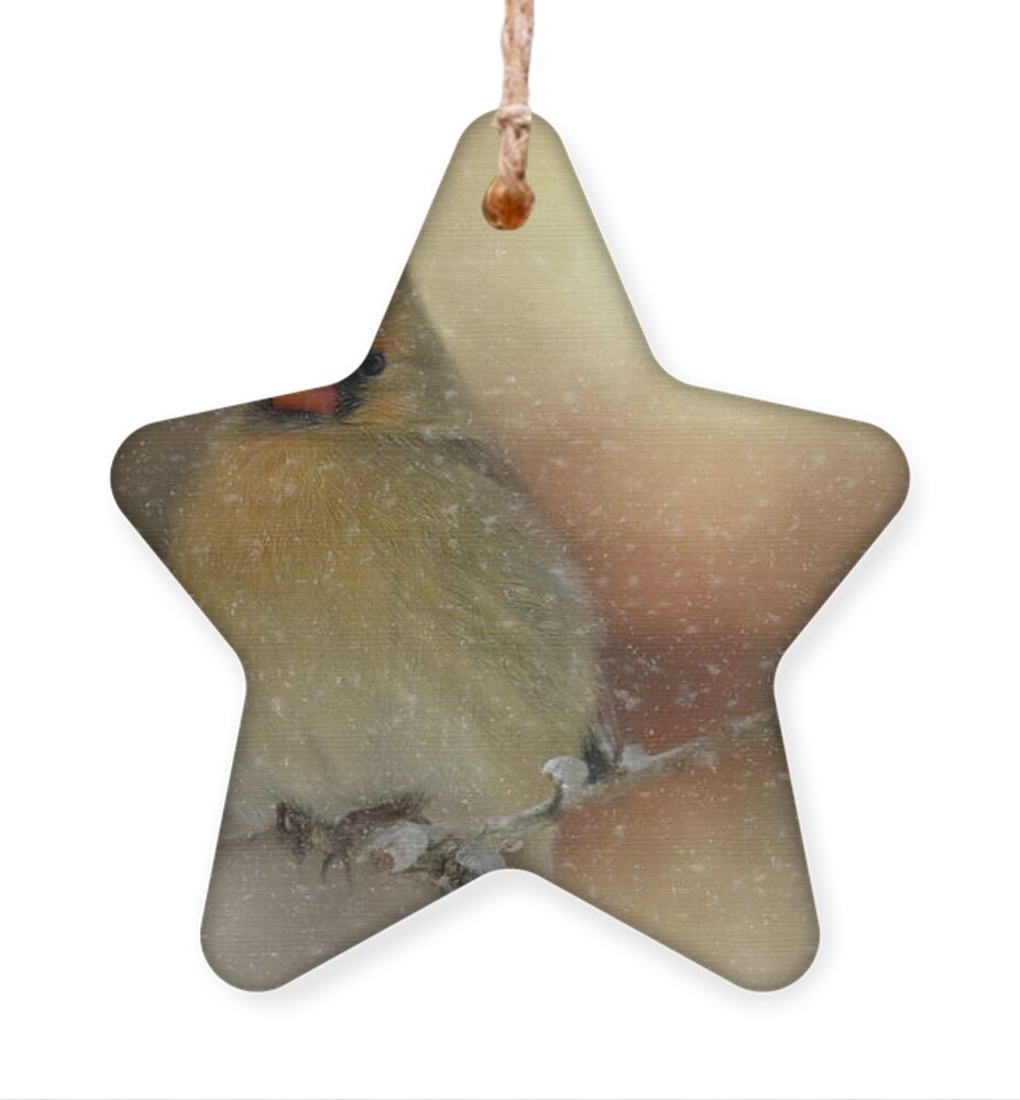 Animal Ornament featuring the photograph Snowy Female Cardinal by Lana Trussell