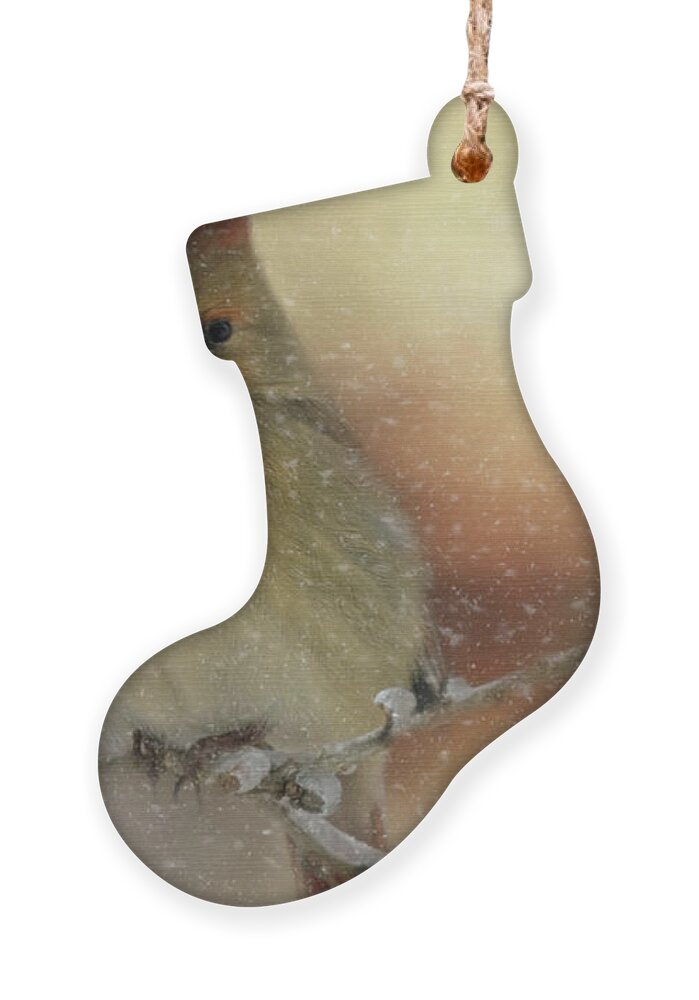 Animal Ornament featuring the photograph Snowy Female Cardinal by Lana Trussell