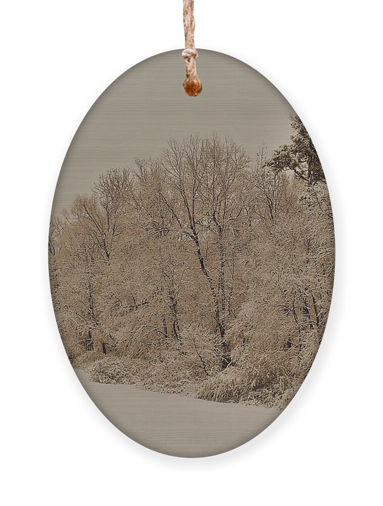 Trees Ornament featuring the photograph Snowy White Limbs with Zeke filter by Ali Baucom