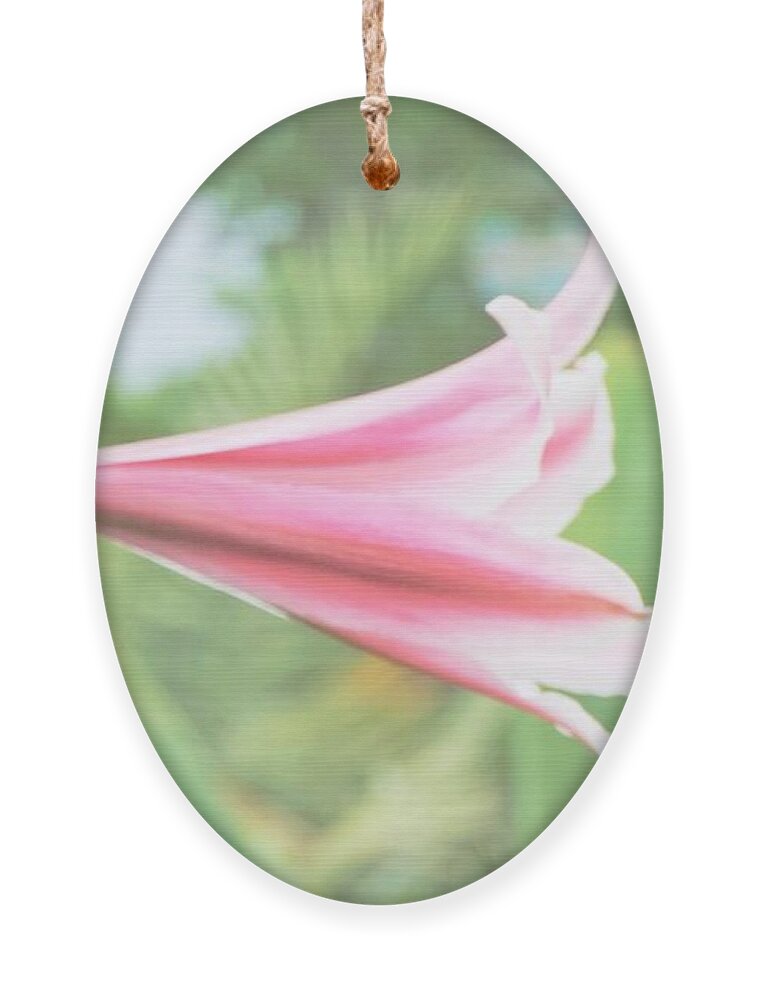 Flowers Ornament featuring the photograph Softly colored by Merle Grenz