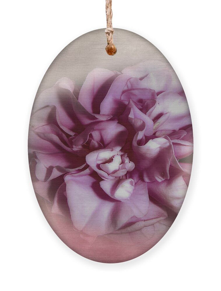 Camellia Ornament featuring the photograph Softly Pink by Judy Hall-Folde