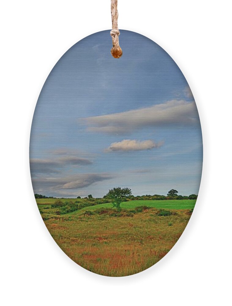 Landscape Ornament featuring the photograph Southbury by Dani McEvoy