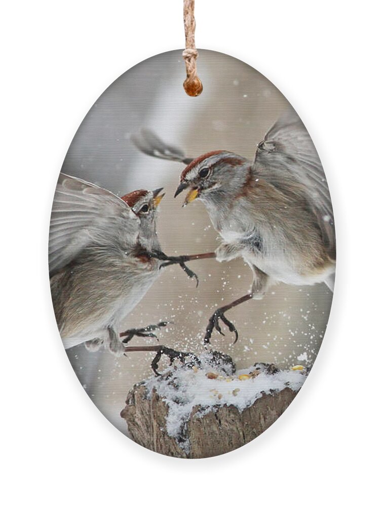  Tree Ornament featuring the photograph Sparrows by Mircea Costina Photography