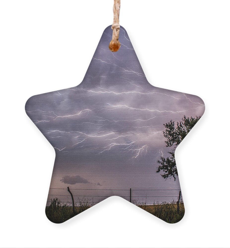 Lightning Ornament featuring the photograph Spider Lightning by Marcus Hustedde