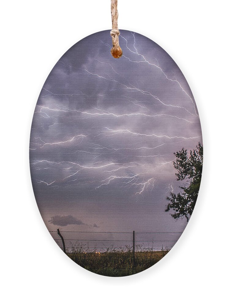Lightning Ornament featuring the photograph Spider Lightning by Marcus Hustedde