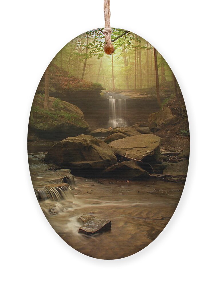 Forest Ornament featuring the photograph Spring at Blue Hen Falls by Rob Blair