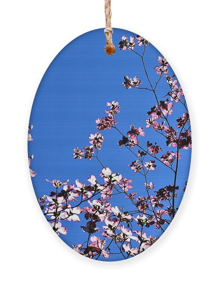 Springtime Ornament featuring the photograph Spring in Louisville by Merle Grenz