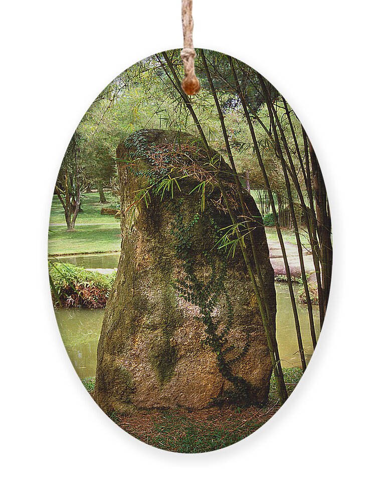 Standing Stone Ornament featuring the photograph Standing Stone with Fern and Bamboo 19A by Gerry Gantt