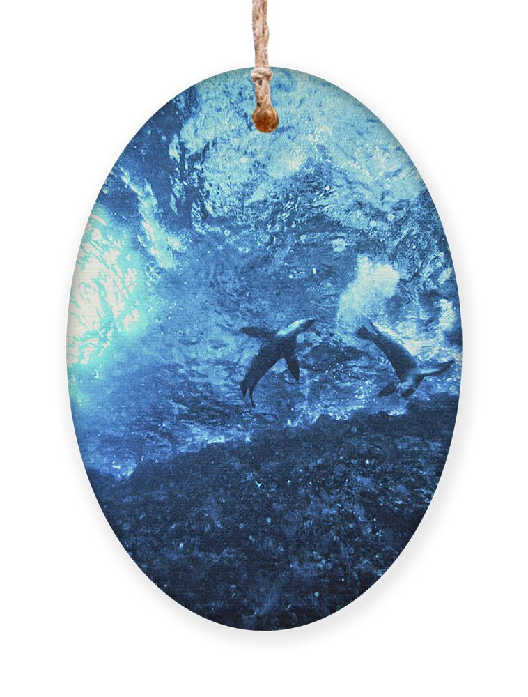 Sea Lion Ornament featuring the photograph Starry Night Under the Waves by Becqi Sherman