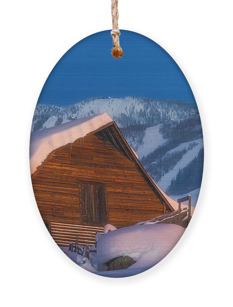 Barn Ornament featuring the photograph Steamboat Dreams by Darren White