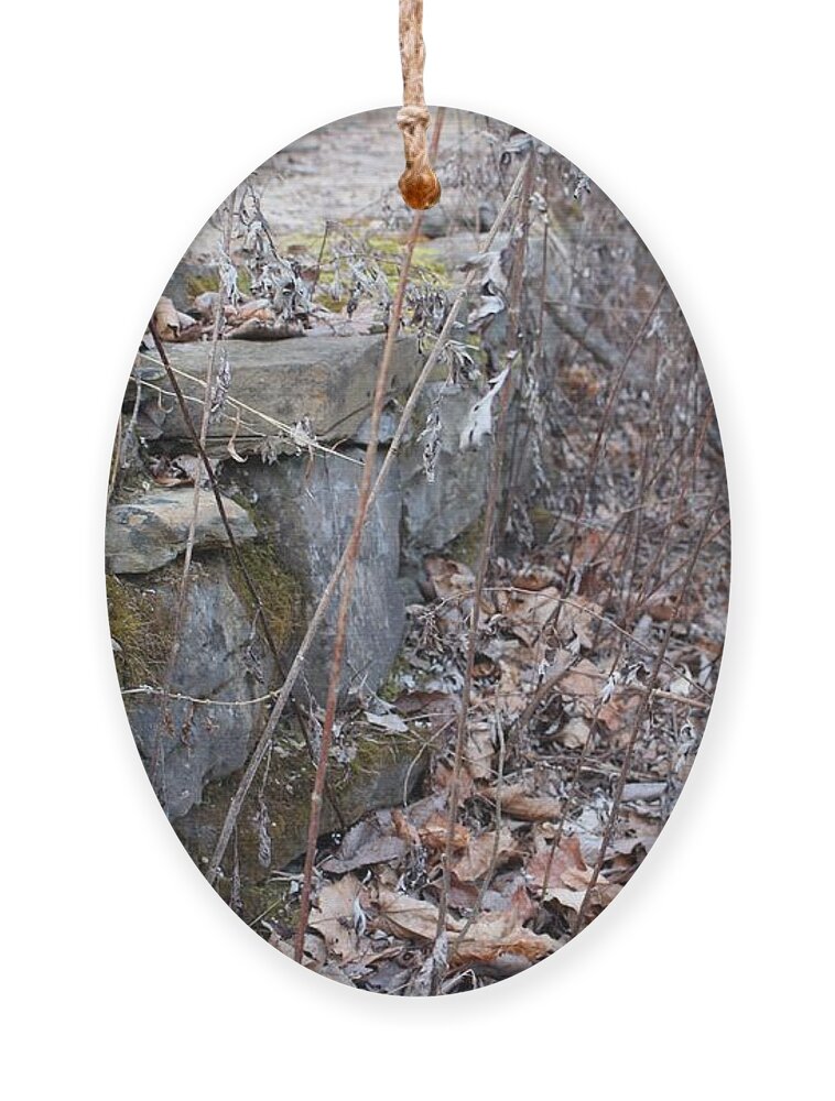 Wayne Ornament featuring the photograph Stone Wall at Jackson Lock by Christopher Lotito