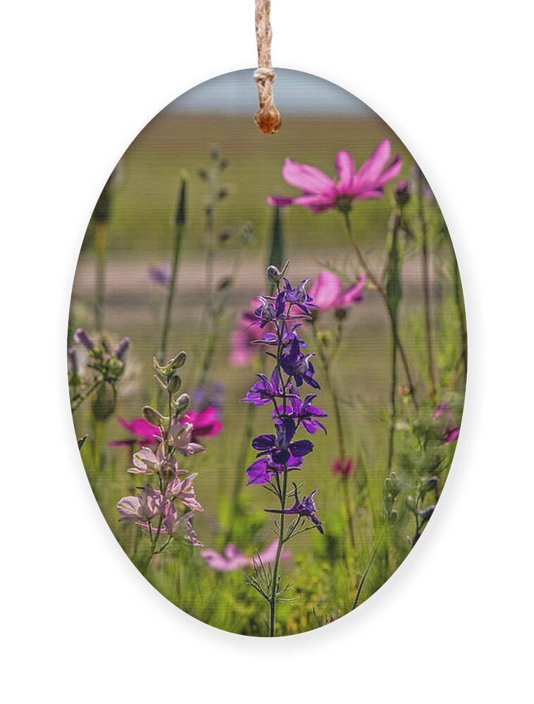 Flowers Ornament featuring the photograph Summer Garden by Alana Thrower