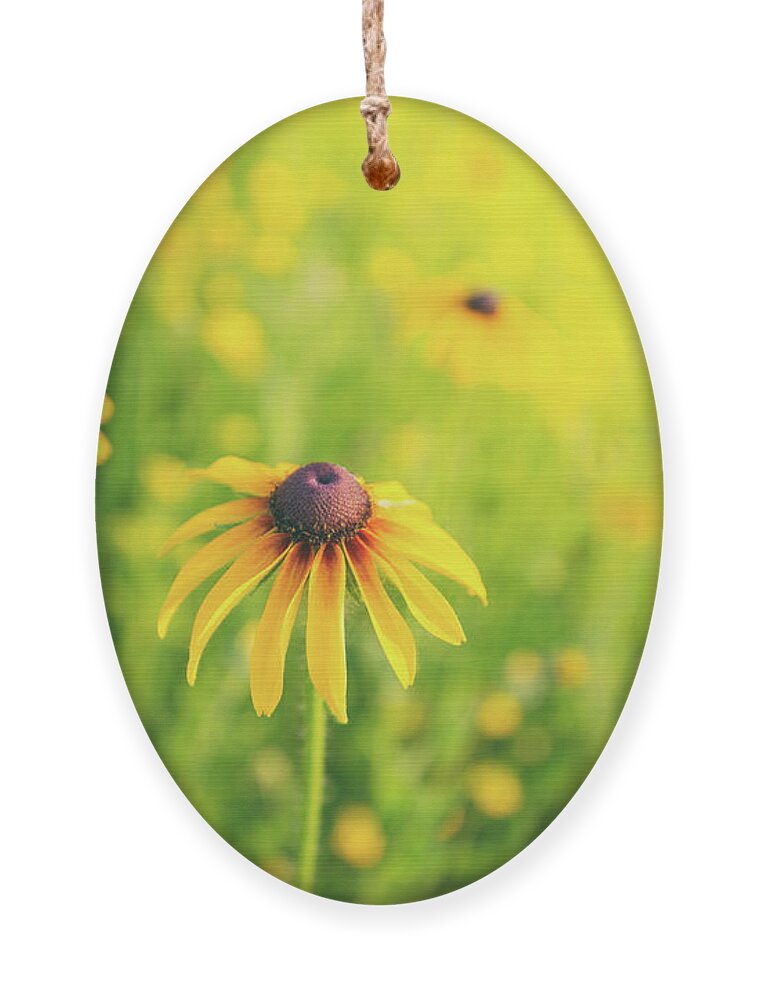 Wildflowers Ornament featuring the photograph Summertime by Becqi Sherman