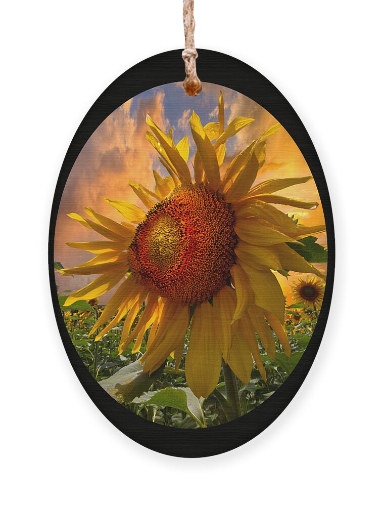 Sunflower Ornament featuring the photograph Sunflower Dawn in Oval by Debra and Dave Vanderlaan