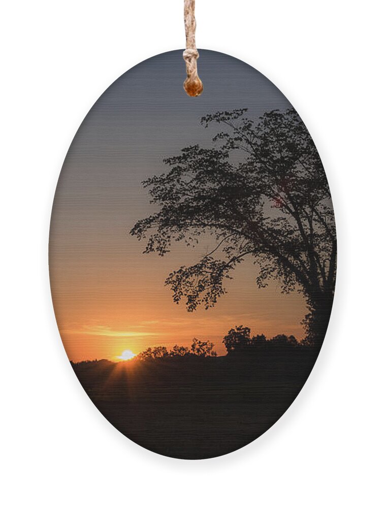 Nature Ornament featuring the photograph Sunset   by Holden The Moment