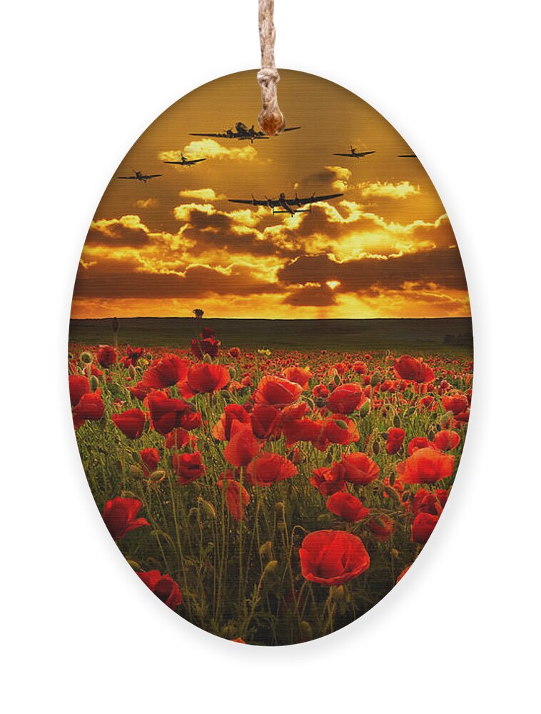 Avro Ornament featuring the digital art Sunset Poppies The BBMF by Airpower Art