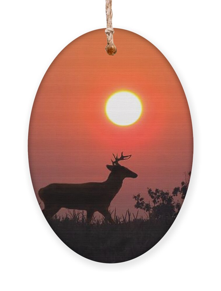 Sunset Ornament featuring the photograph Sunset Silhouette by David Dehner