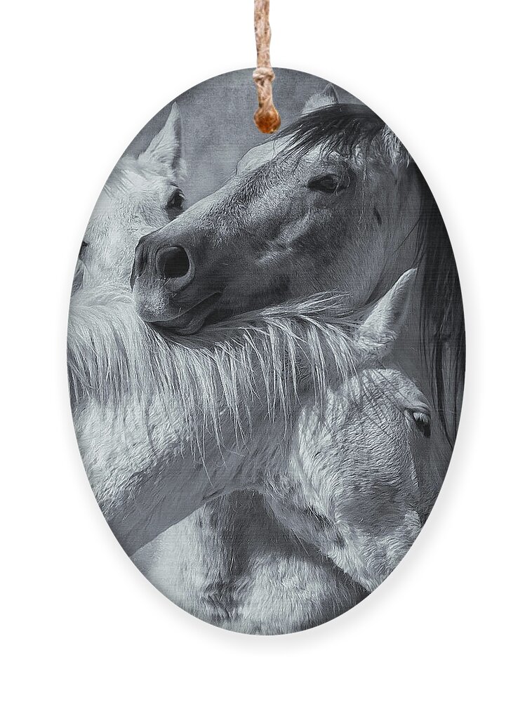 Wild Horses Ornament featuring the photograph Surrounded by Love BW by Belinda Greb