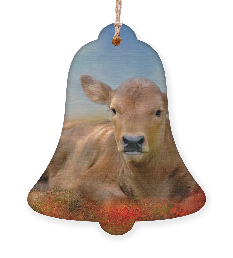 Animal Ornament featuring the photograph Sweet Baby by Lana Trussell