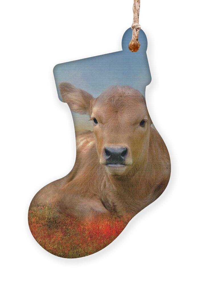 Animal Ornament featuring the photograph Sweet Baby by Lana Trussell