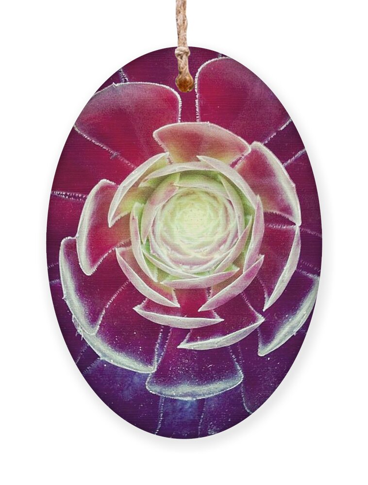Plant Ornament featuring the photograph Symmetry by Denise Railey