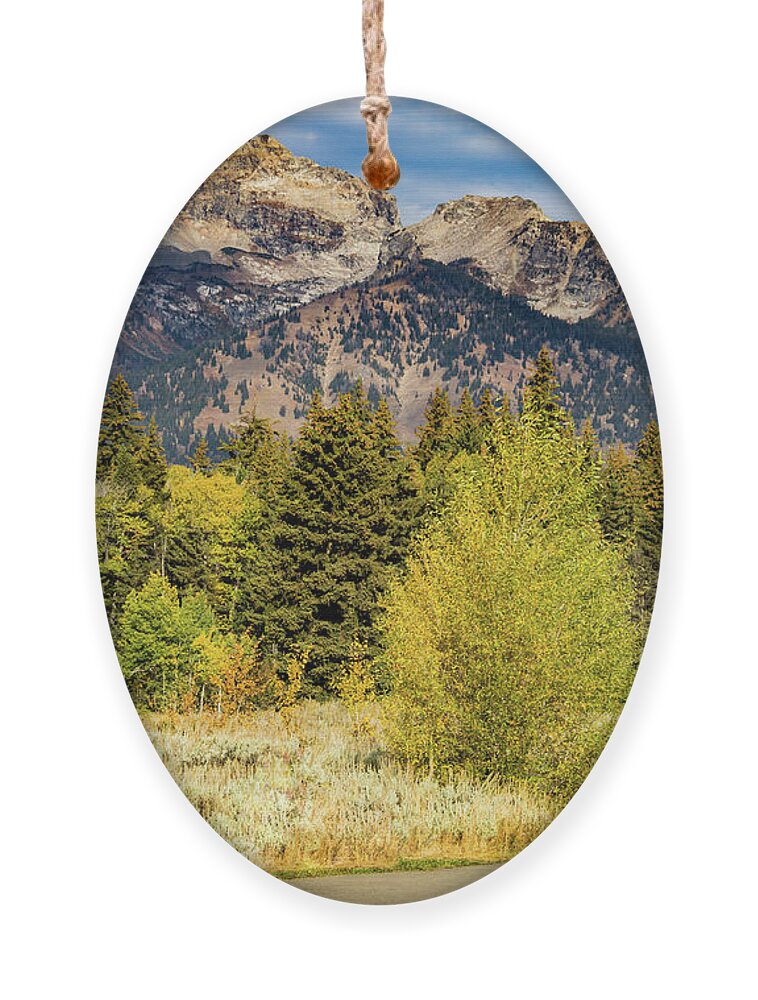 Grand Ornament featuring the photograph Take a Break in the Grand Tetons by Roslyn Wilkins