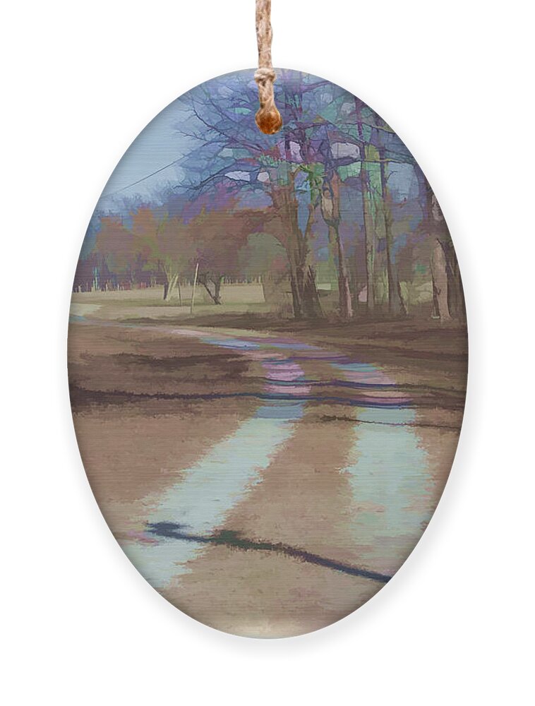 Road Ornament featuring the photograph Take Me Home Country Road by Roberta Byram