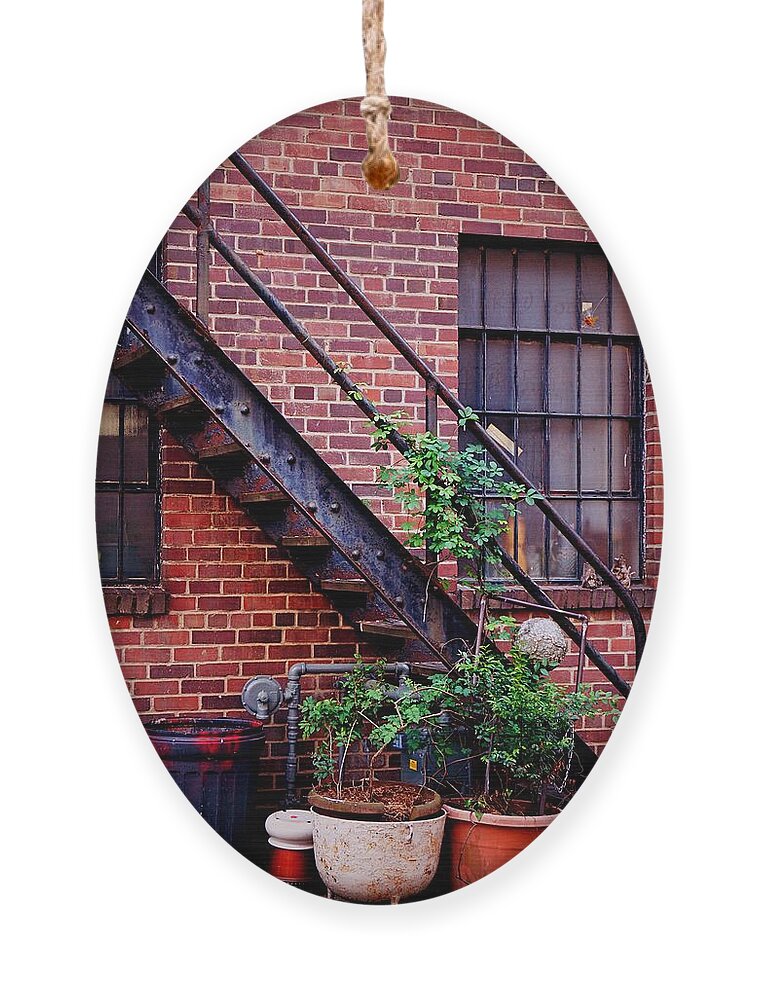 Fine Art Ornament featuring the photograph Take The Stairs by Rodney Lee Williams
