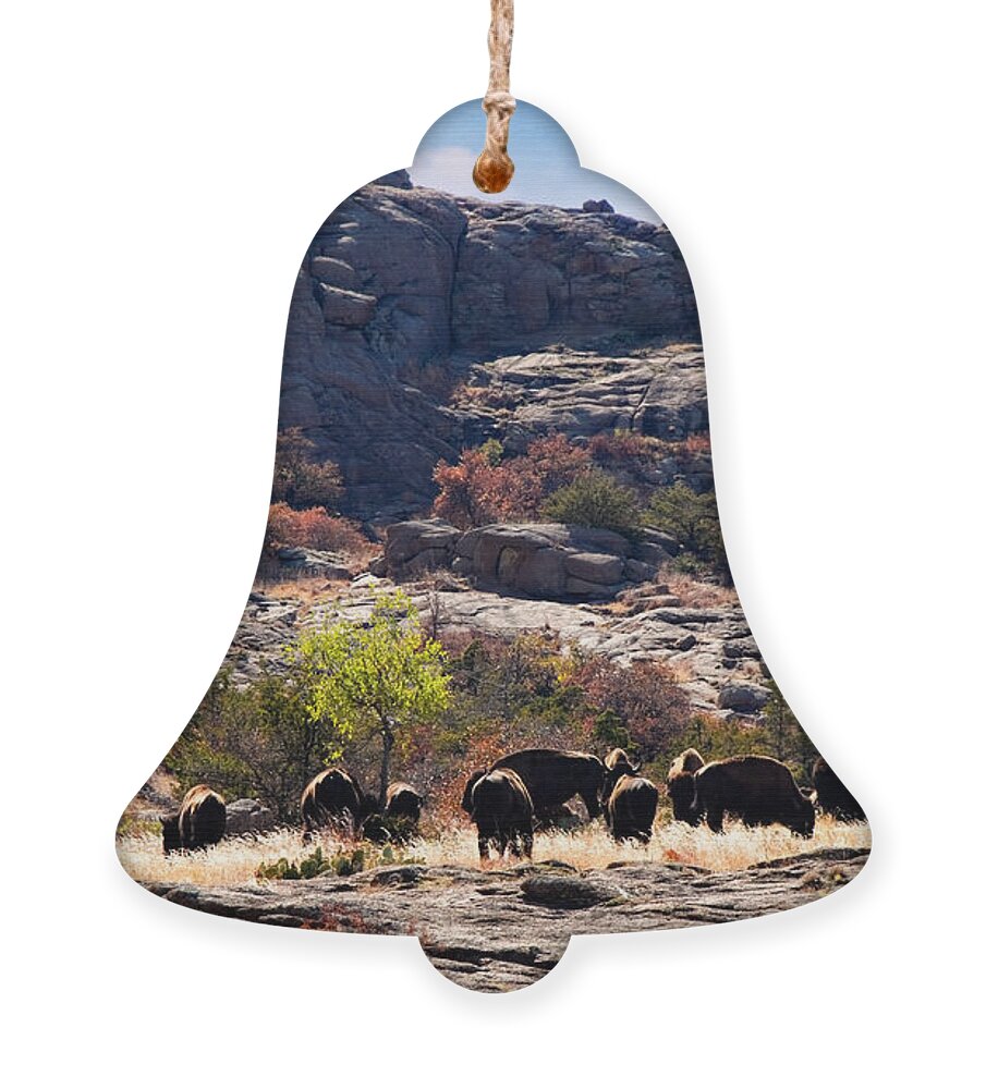 America Ornament featuring the photograph Tatanka by Lana Trussell