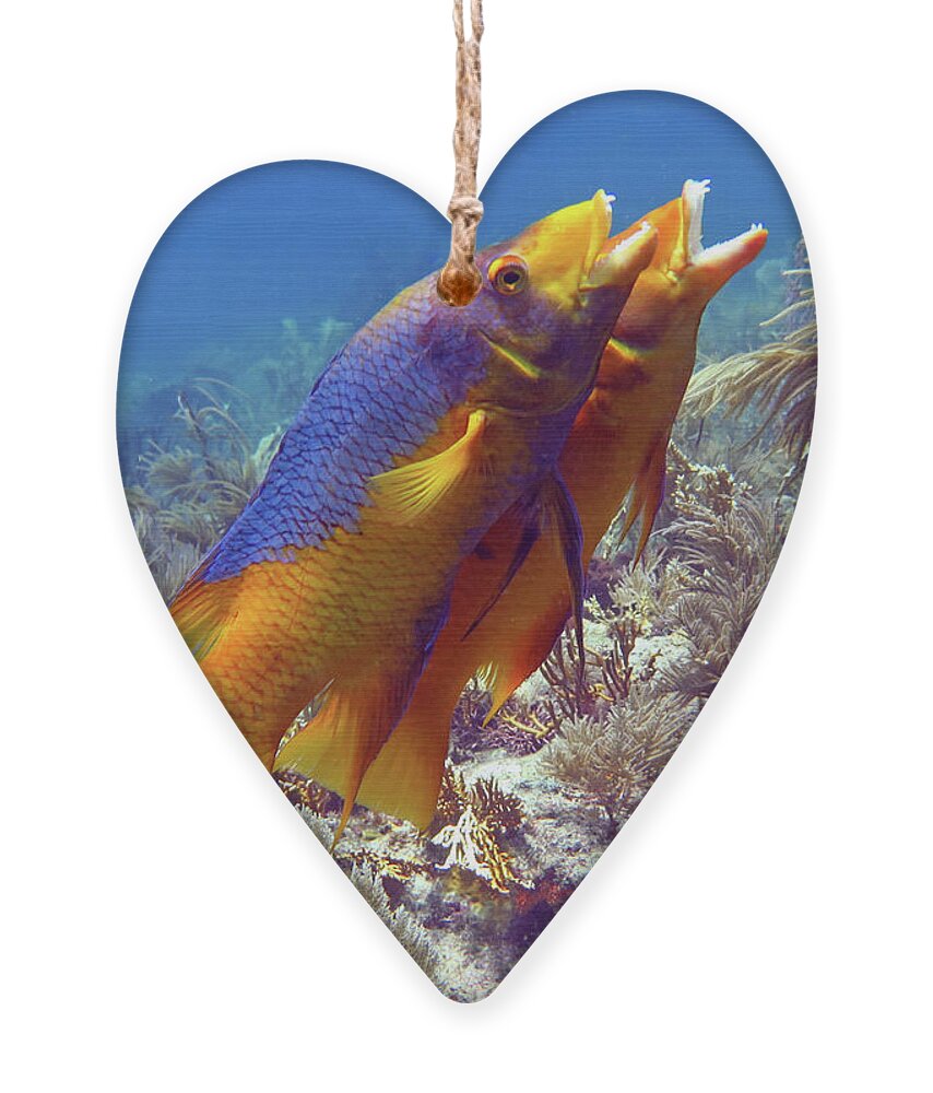 Underwater Ornament featuring the photograph In Sync by Daryl Duda