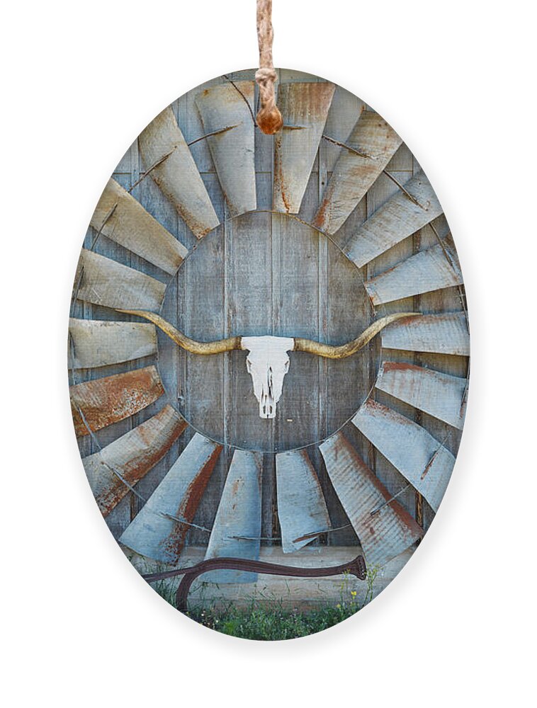 Texas Ornament featuring the photograph Texas barn art by Raul Rodriguez