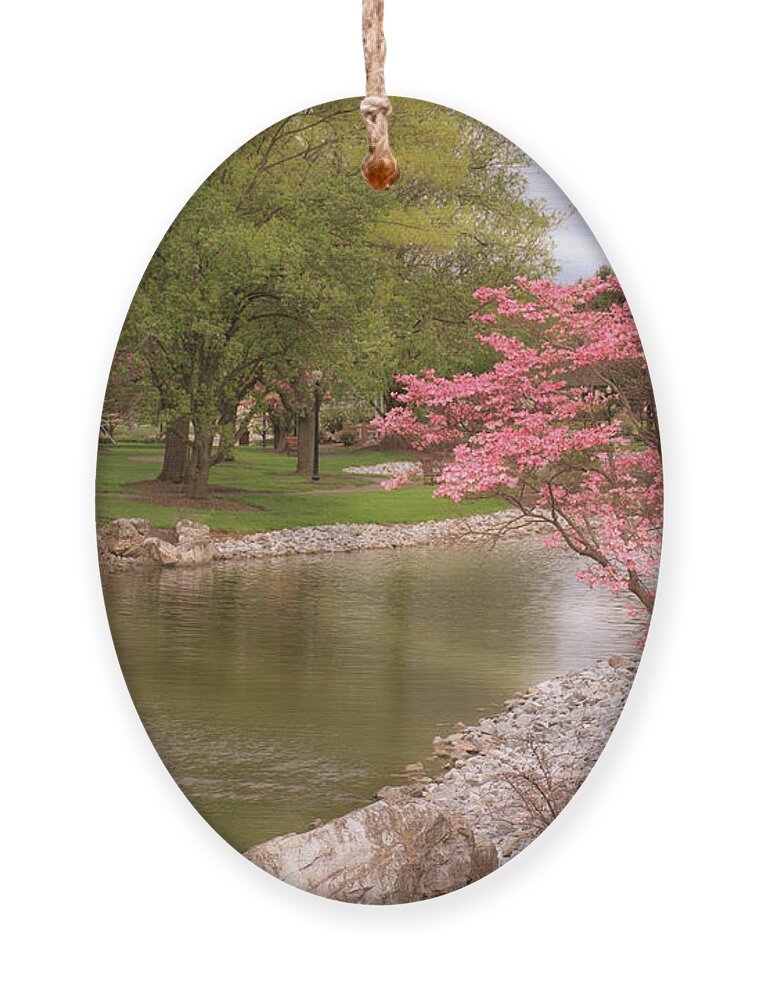 Spring Ornament featuring the photograph The Beauty of Spring by Angie Tirado