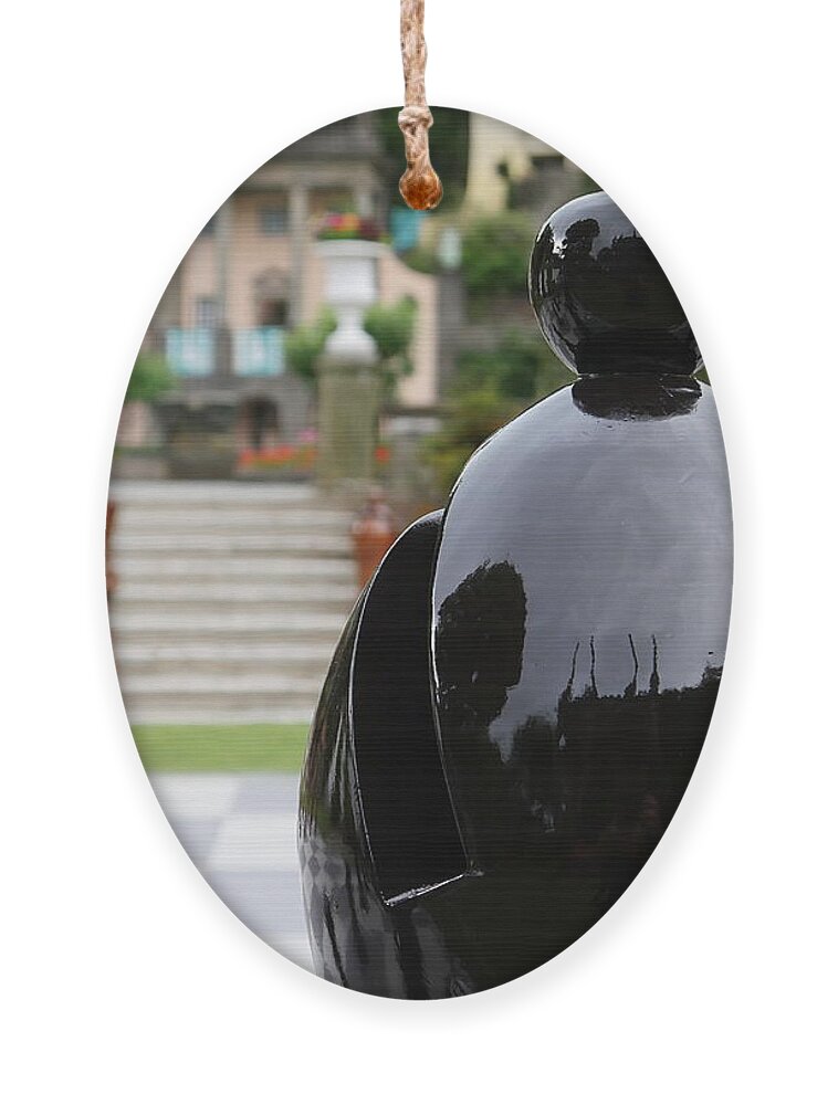 Richard Reeve Ornament featuring the photograph The Bishop by Richard Reeve