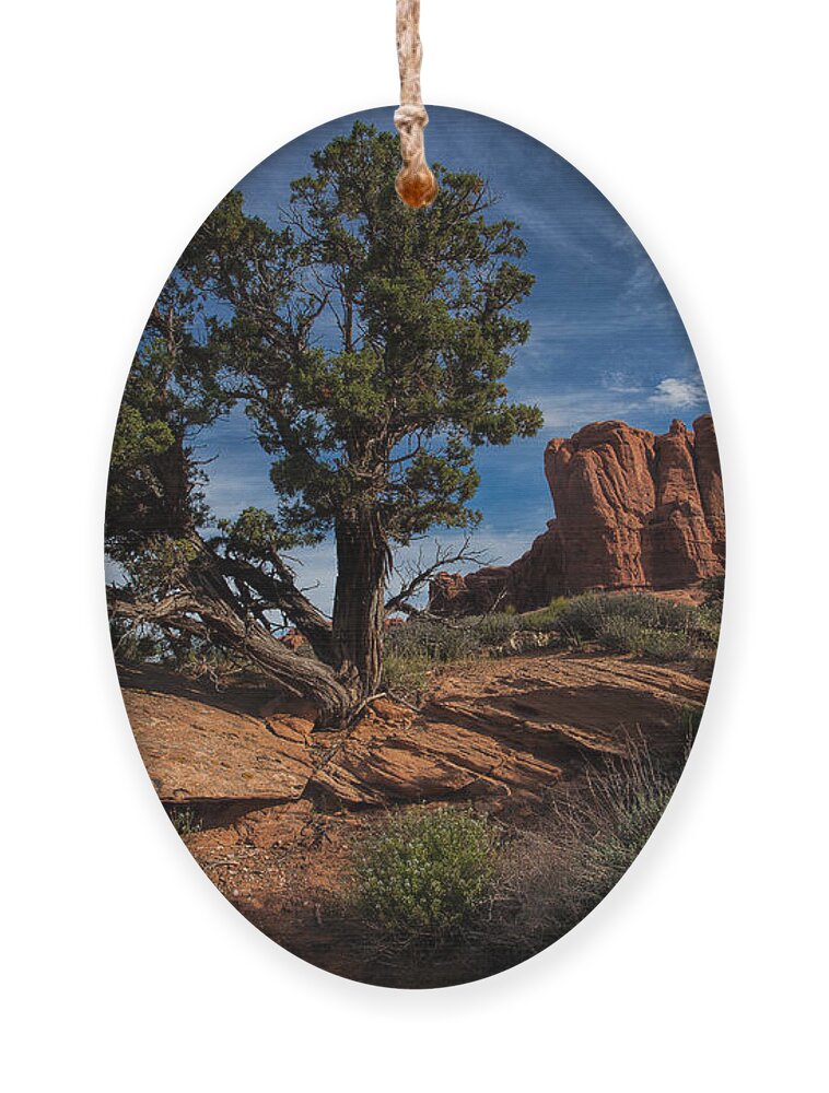 Utah Ornament featuring the photograph The Canyon Trail by Jim Garrison
