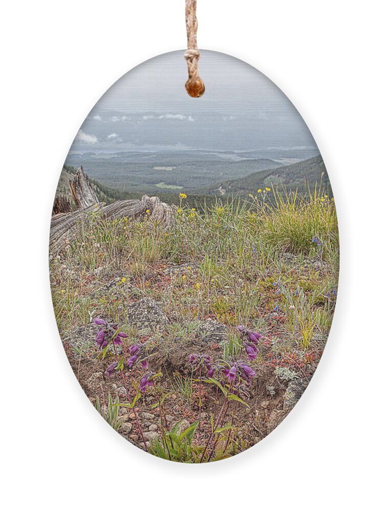 Cottonwood Pass Ornament featuring the photograph The Gray Haven by Jim Garrison