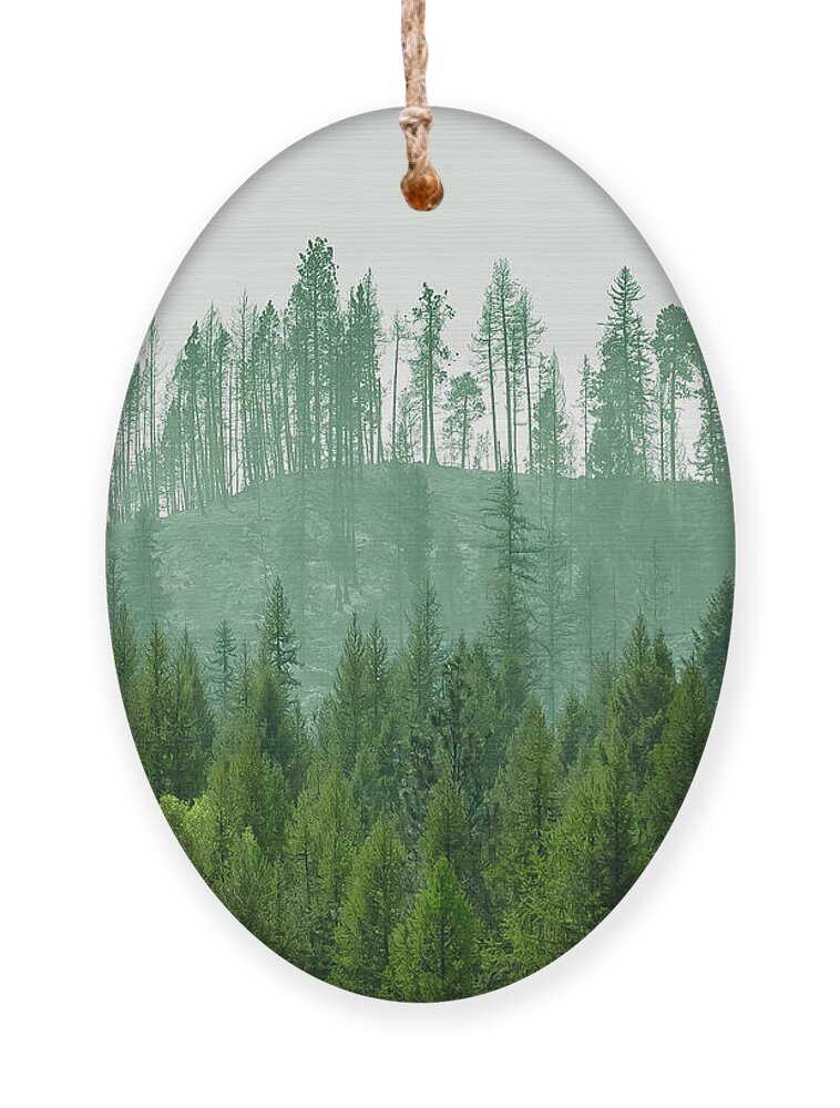 Ever Green Ornament featuring the photograph The Green and the not so Green by Troy Stapek